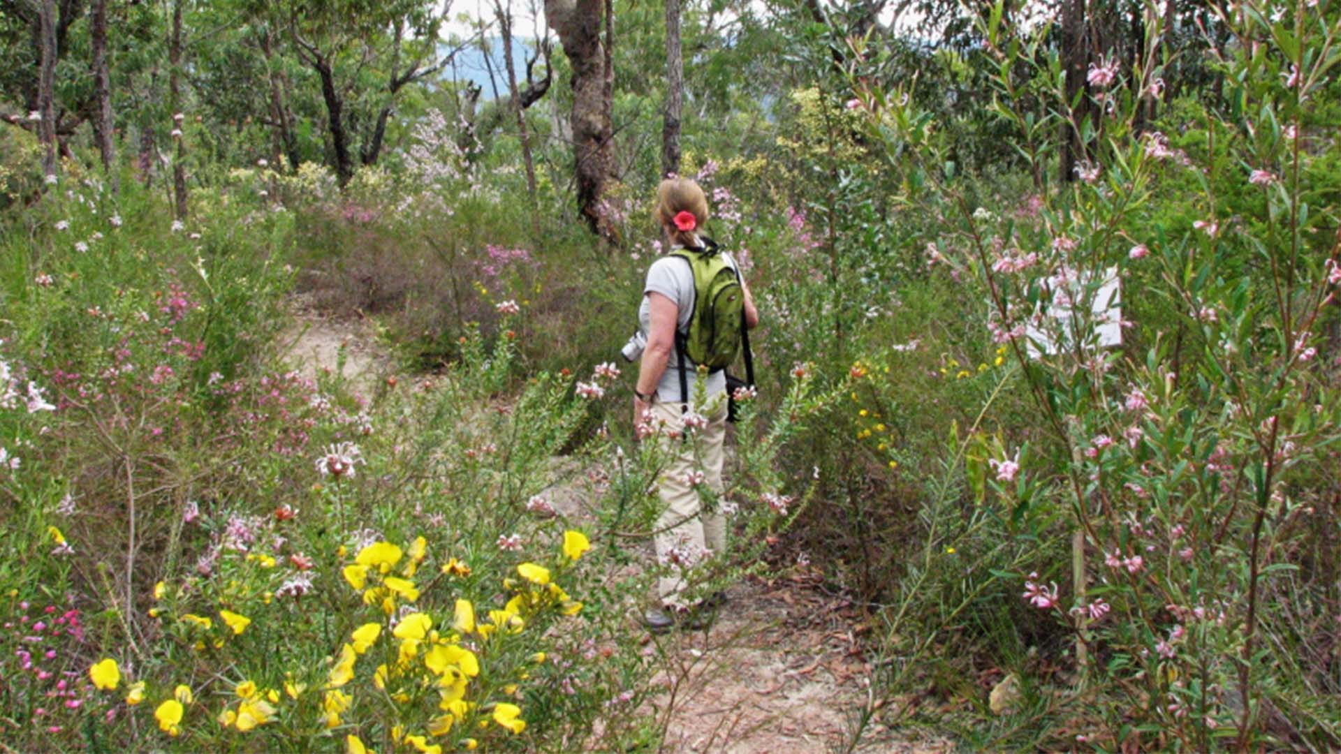 Muogamarra Nature Reserve Open Season