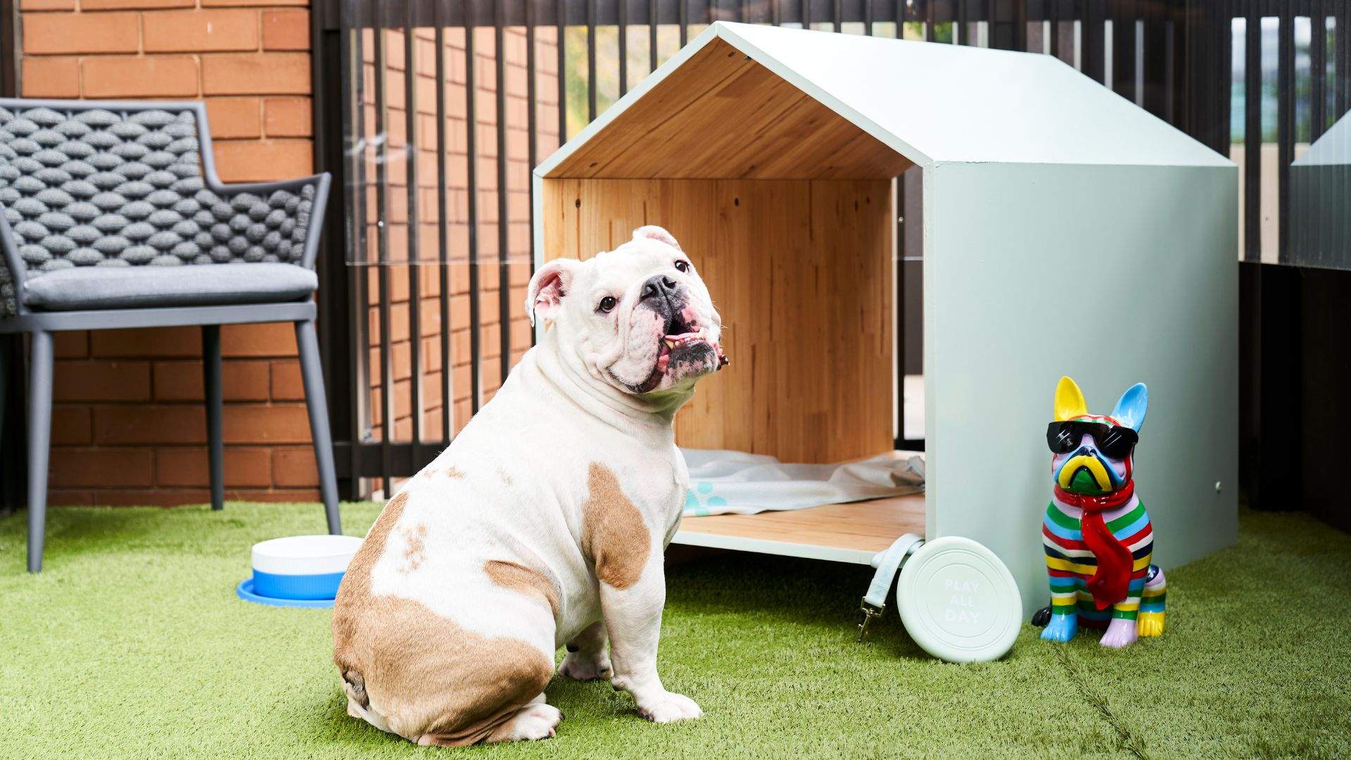 Just In: The Pullman Has Opened a Pet Suite Especially for Very Good Boys and Girls
