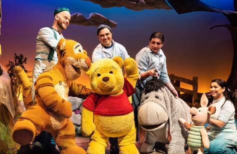 Winnie the Pooh: The New Stage Adaptation