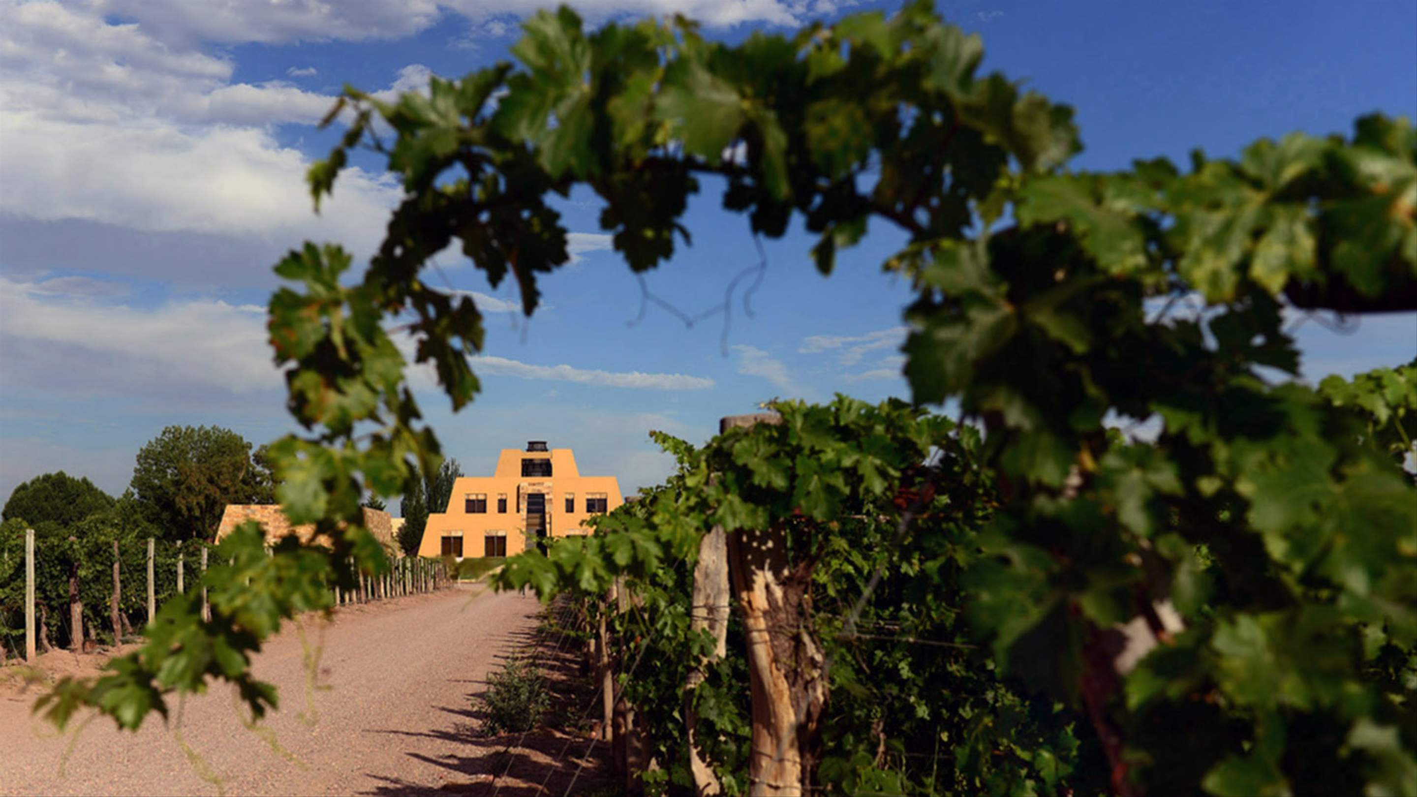 Three Australian Wineries Were Just Named in the World's Best 50