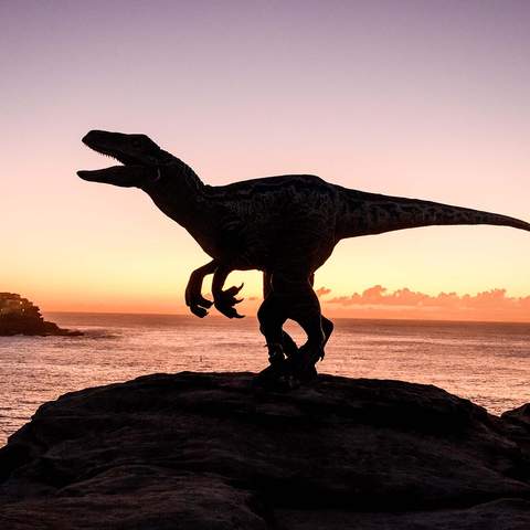 Clever Girl: A Roaming Seven-Foot Velociraptor Just Turned Bondi Beach Into 'Jurassic World'