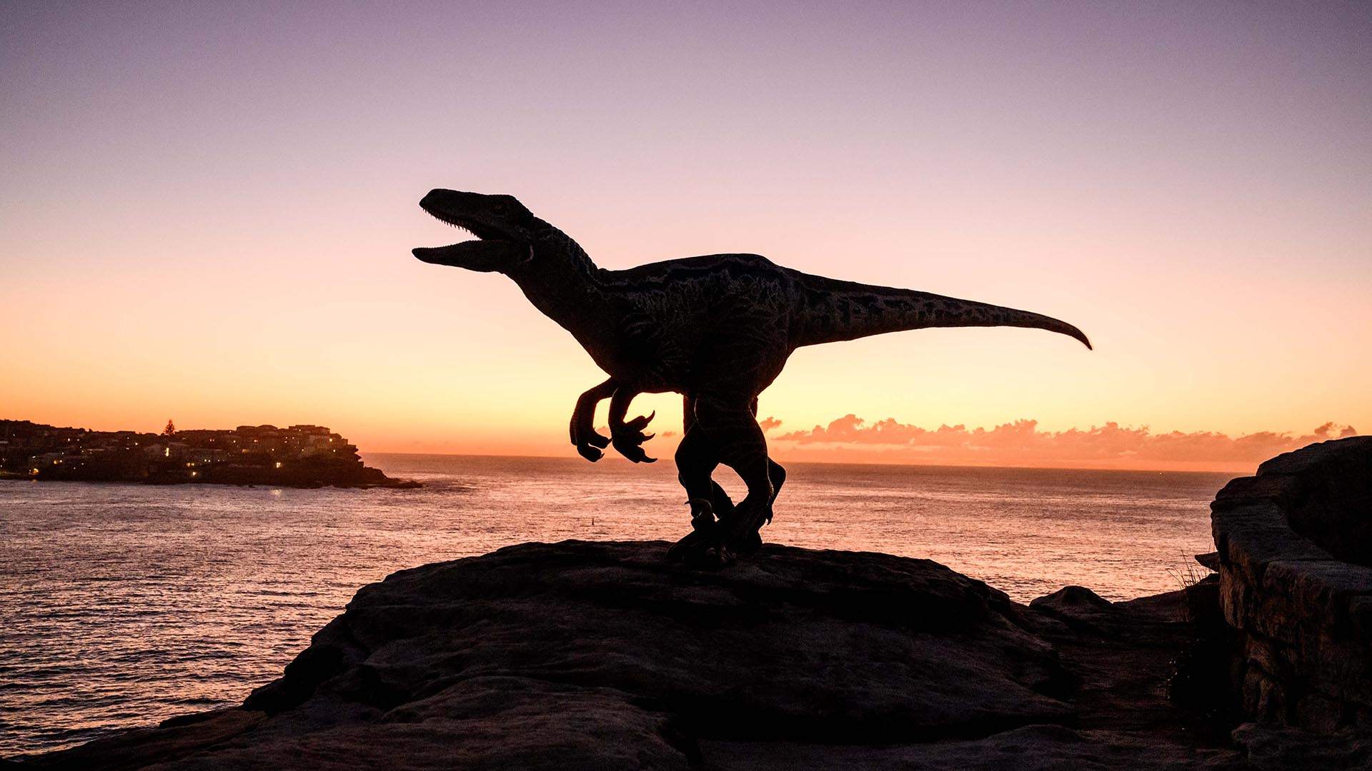 Clever Girl: A Roaming Seven-Foot Velociraptor Just Turned Bondi Beach Into 'Jurassic World'
