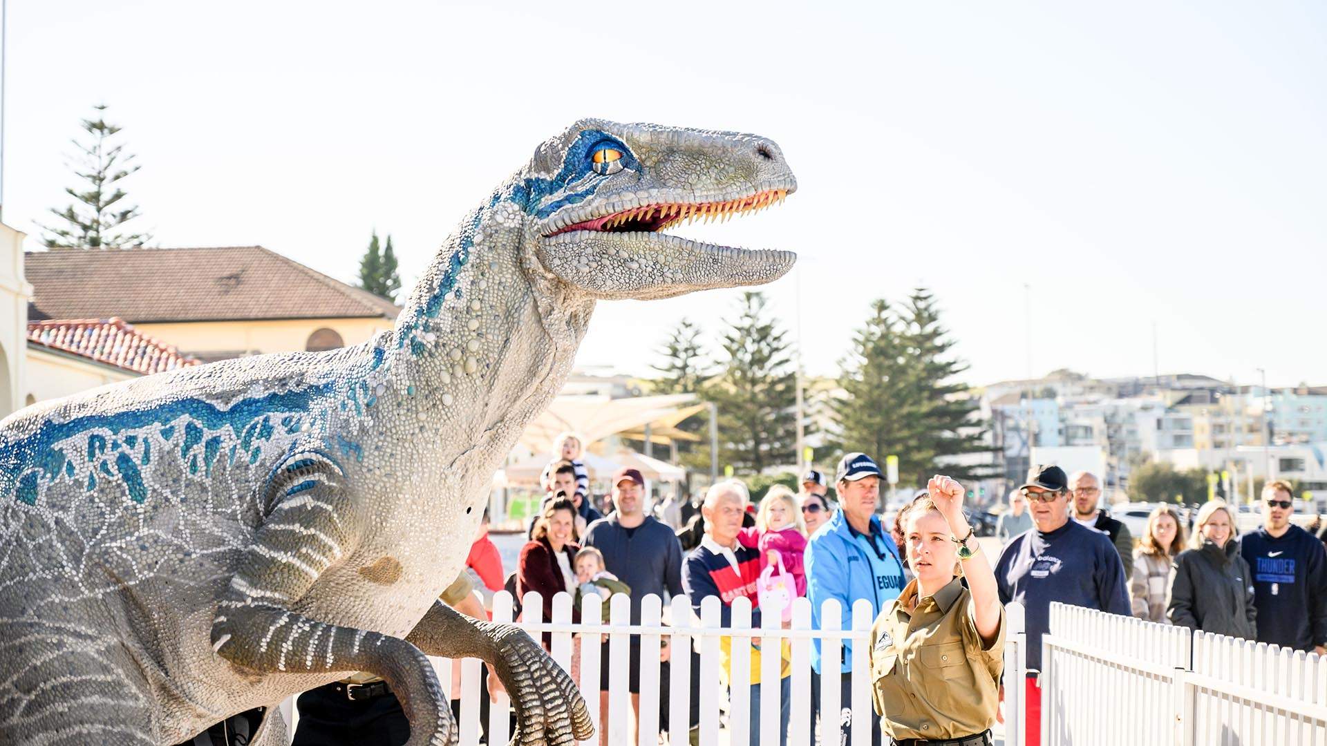 Clever Girl: A Roaming Seven-Foot Velociraptor Just Turned Bondi