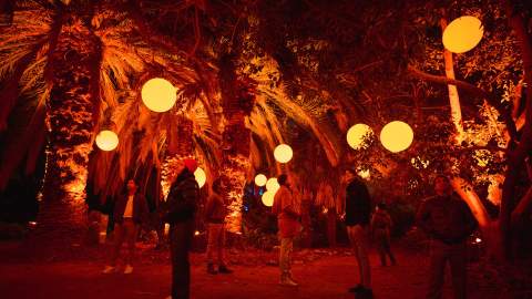 A Lit-Up Lumina Night Walk Will Soon Be Dazzling Brisbane's Mt Coot-tha Botanic Gardens 150 Evenings a Year