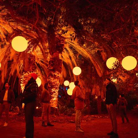 A Lit-Up Lumina Night Walk Will Soon Be Dazzling Brisbane's Mt Coot-tha Botanic Gardens 150 Evenings a Year