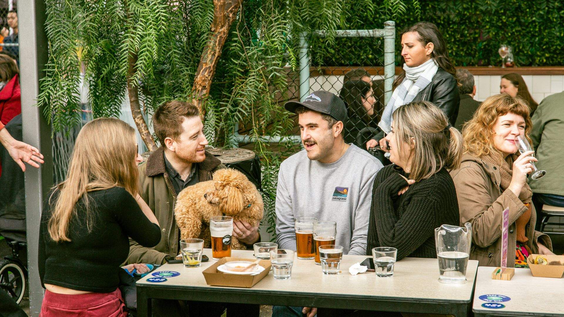 A group of mates with their dog, drinking at Welcome to Thornbury