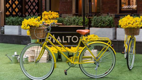 Cancer Council Victoria's Daffodil Day, Rialto Plaza, 2023