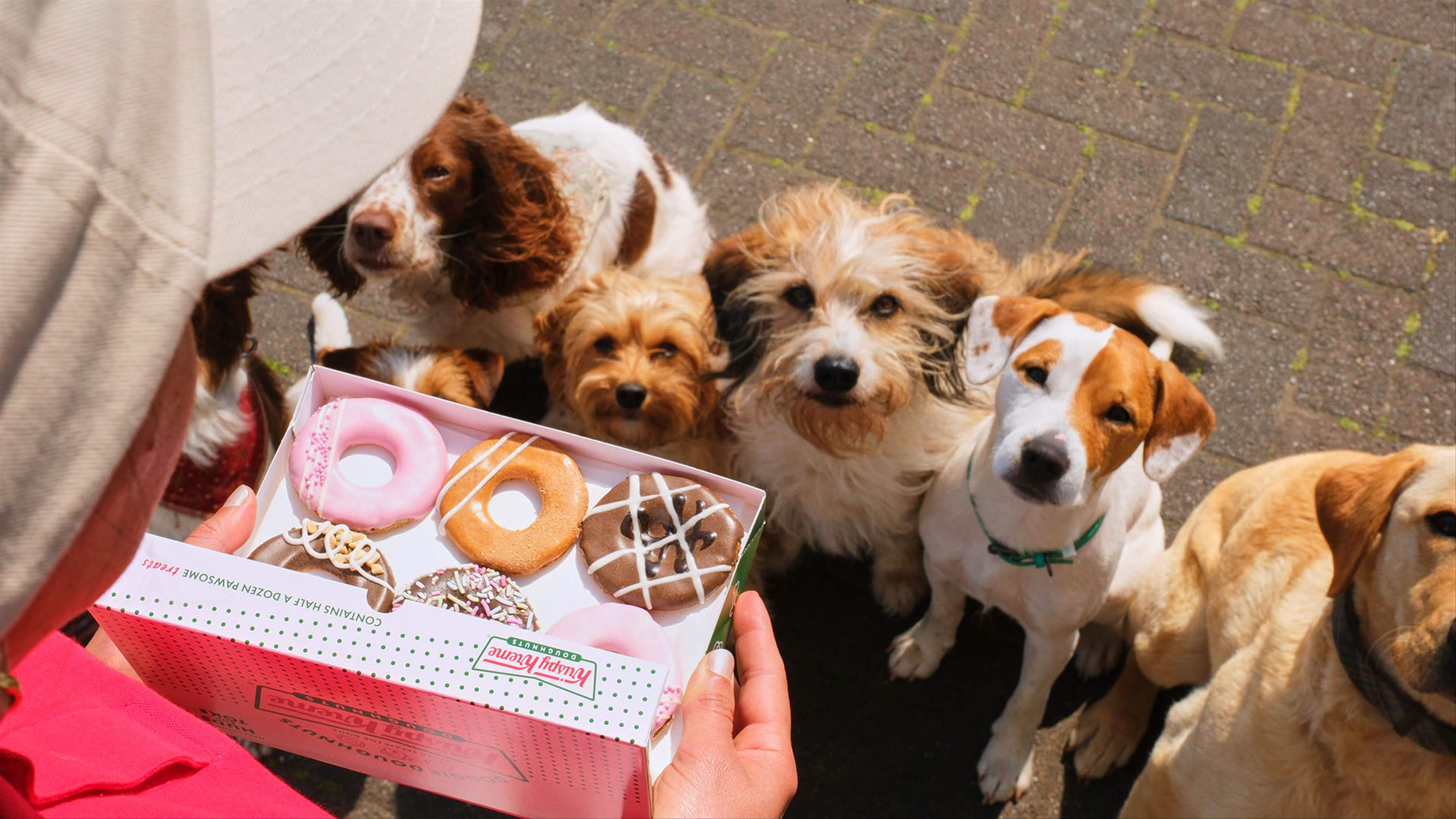 Krispy Kreme Has Brought Back Its DoughnutInspired Dog Biscuits for