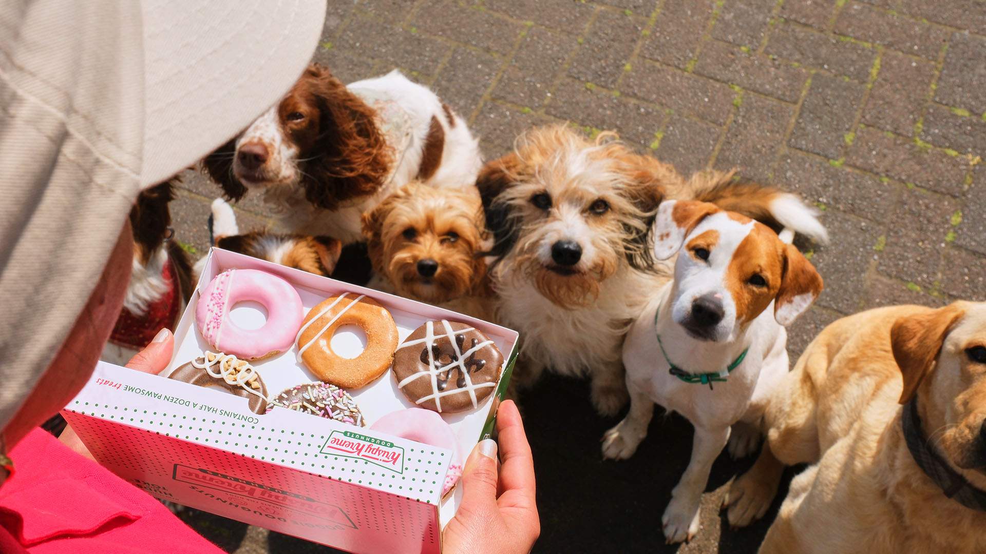 Krispy Kreme Has Brought Back Its Doughnut-Inspired Dog Biscuits for Very Good Boys and Girls