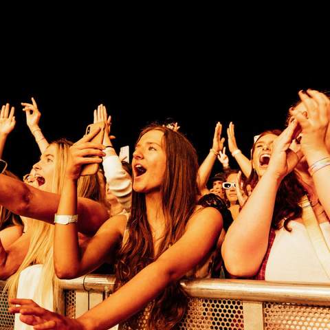 Photo of a crowd at a music festival.