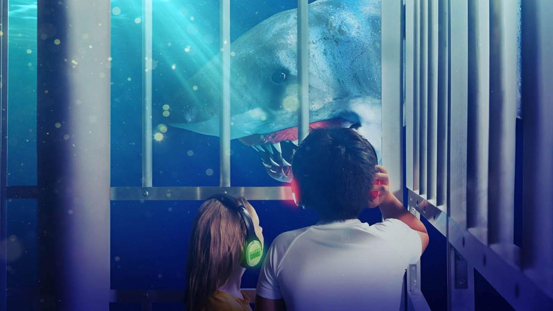 Two children looking at a shark for the Shark Dive show, as part of Brisbane Festival.