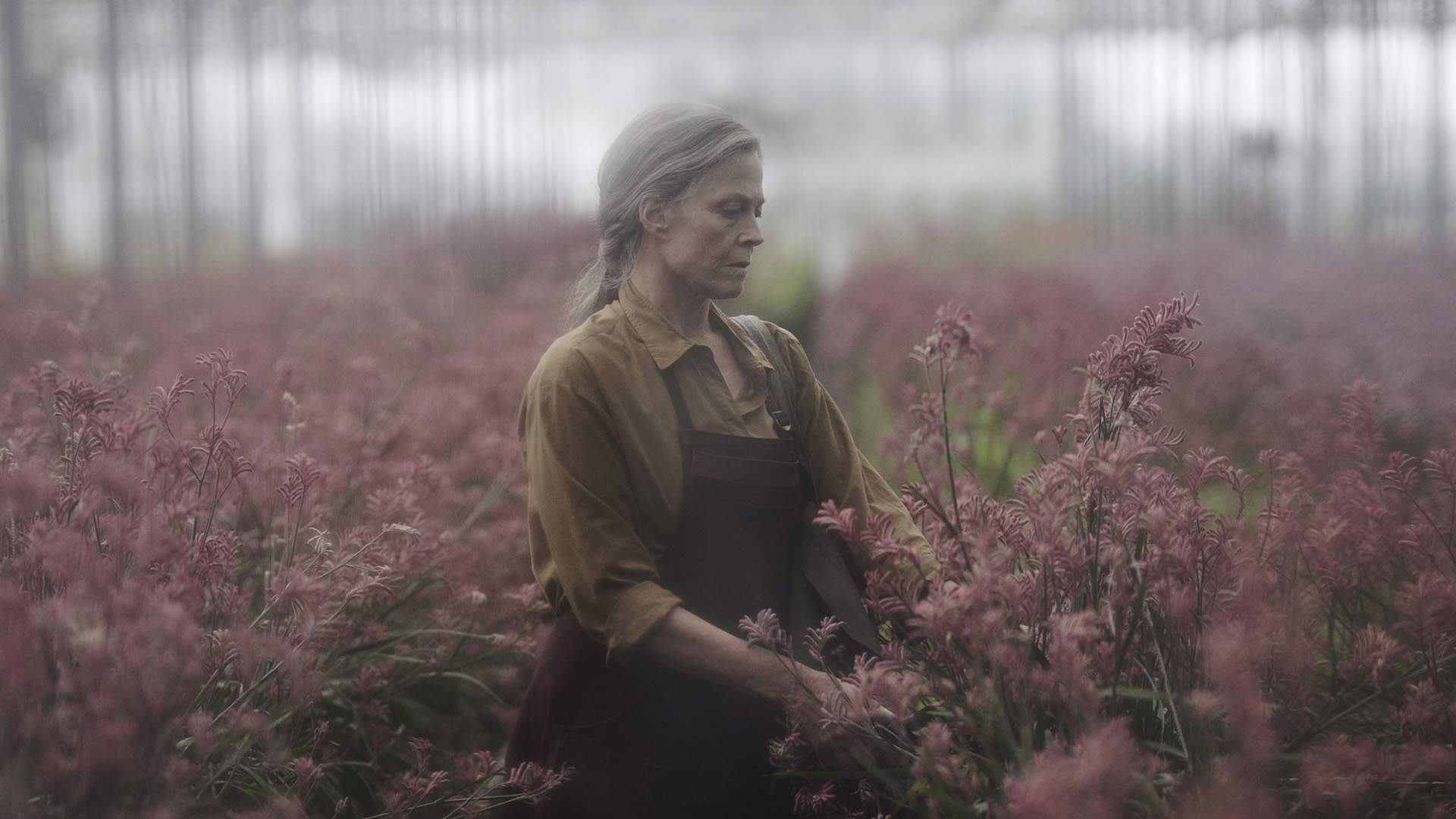 Sigourney Weaver in 'The Lost Flowers of Alice Hart'.