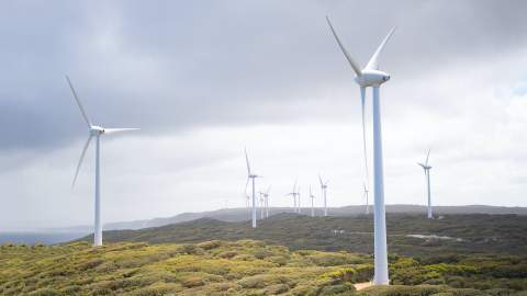 Albany wind farm