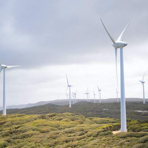 Albany wind farm