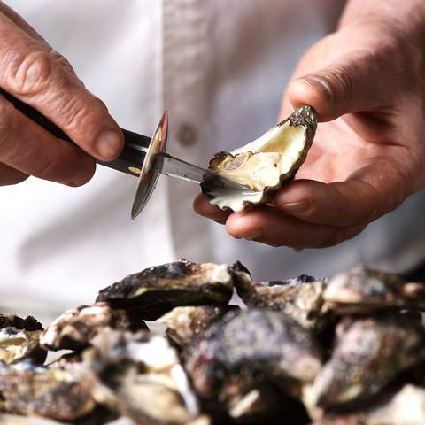 Oysters shucked by Colin Fassnidge for the Oysters and Guinness Festival.