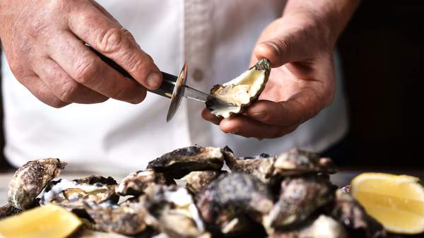 Oysters shucked by Colin Fassnidge for the Oysters and Guinness Festival.