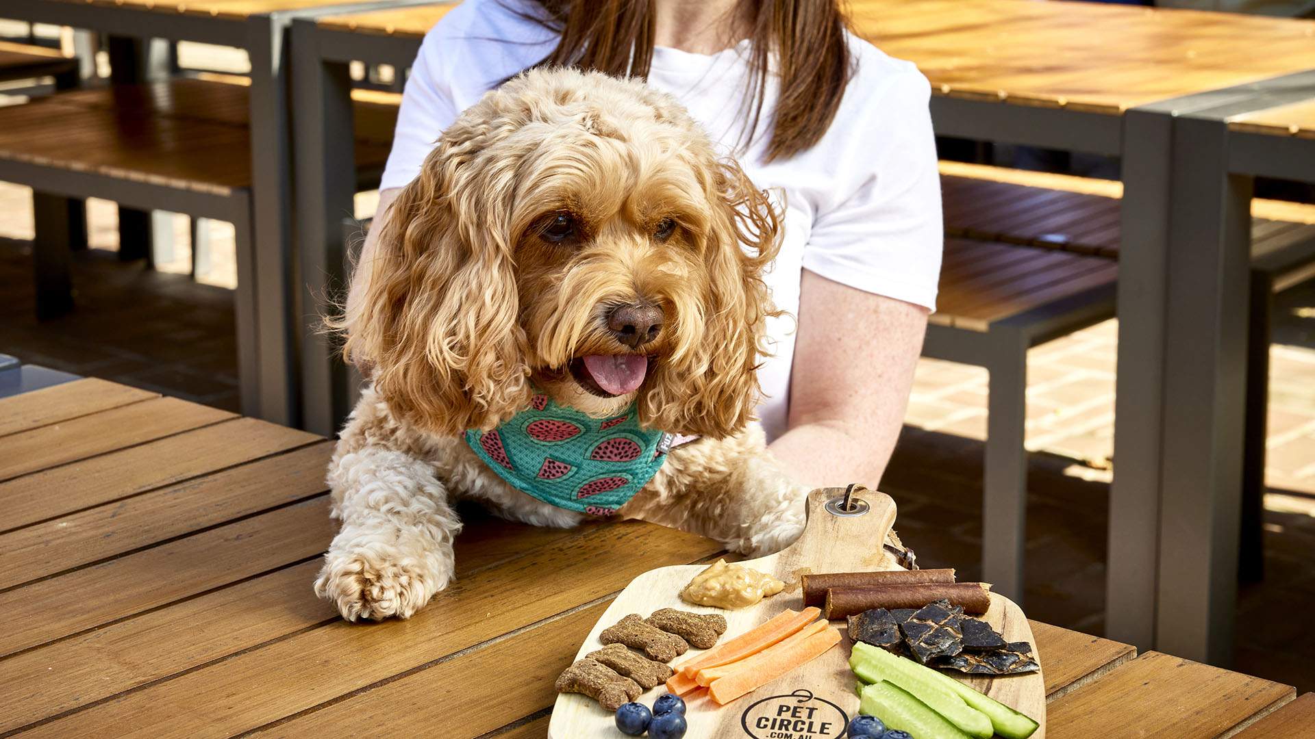 A Heap of Australian Venues Are Doing Barkuterie Boards So You Can Have a Pub Date with Your Pooch