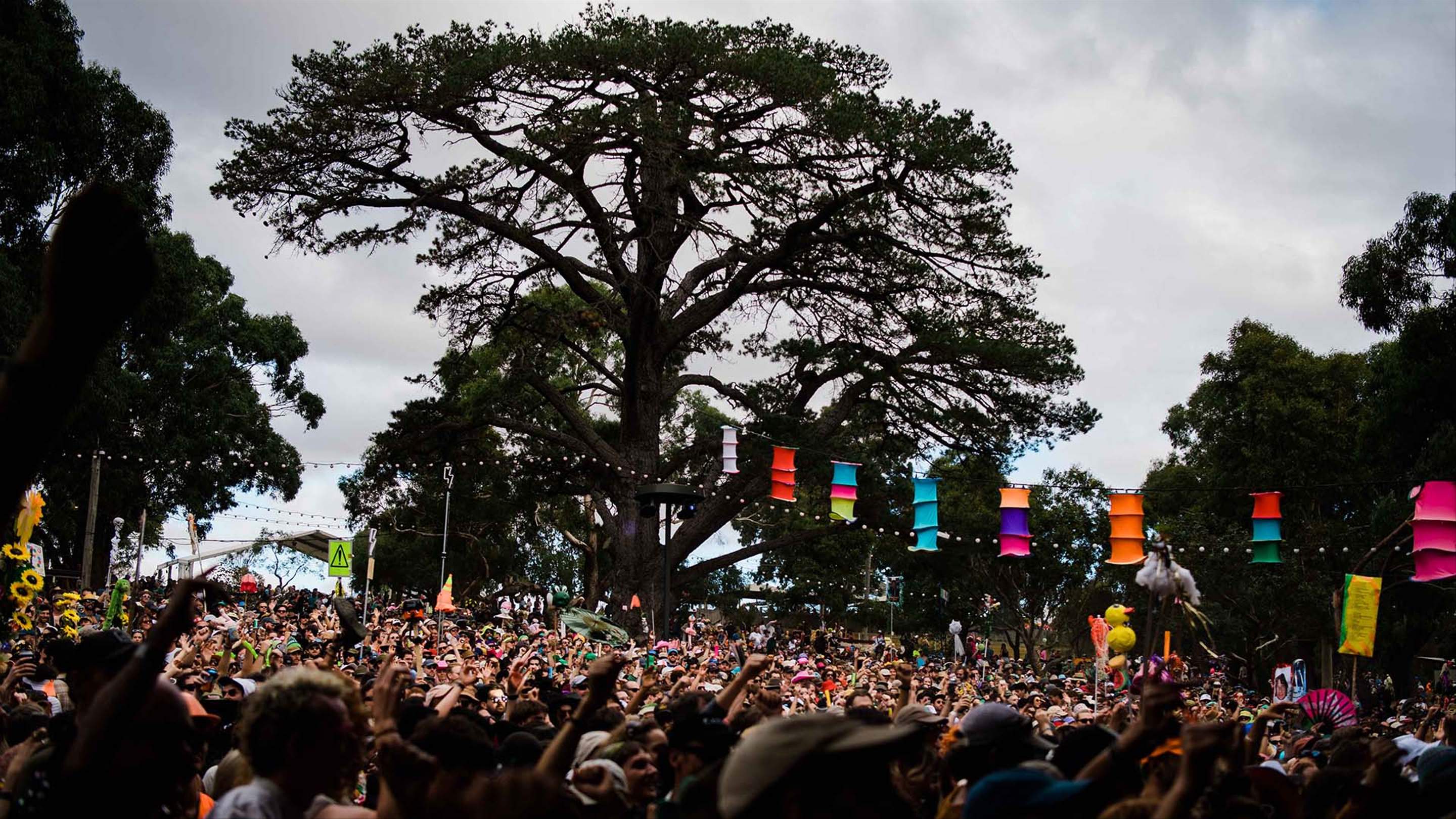 It's That Time Again Golden Plains Has Opened the Ticket Ballot for