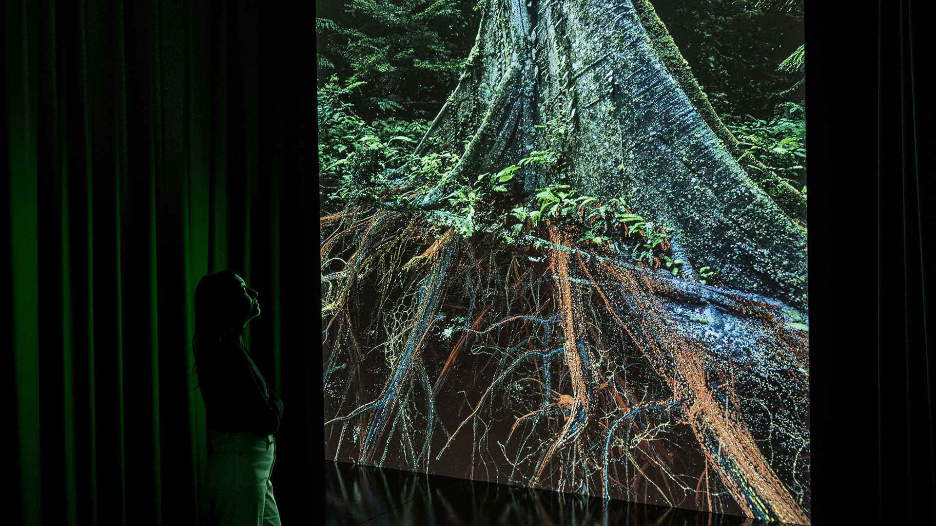 A Spectacular World-Premiere Experimental Digital Exhibition About Nature Is Taking Over Melbourne's ACMI