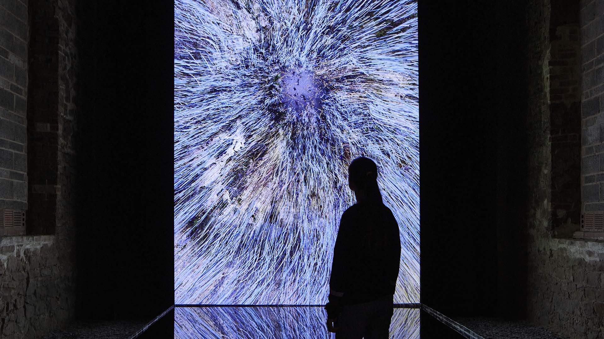 A Spectacular World-Premiere Experimental Digital Exhibition About Nature Is Taking Over Melbourne's ACMI