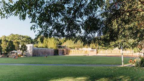 Roma Street Parklands' Celebration Lawn.