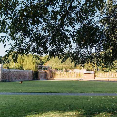 Roma Street Parklands' Celebration Lawn.