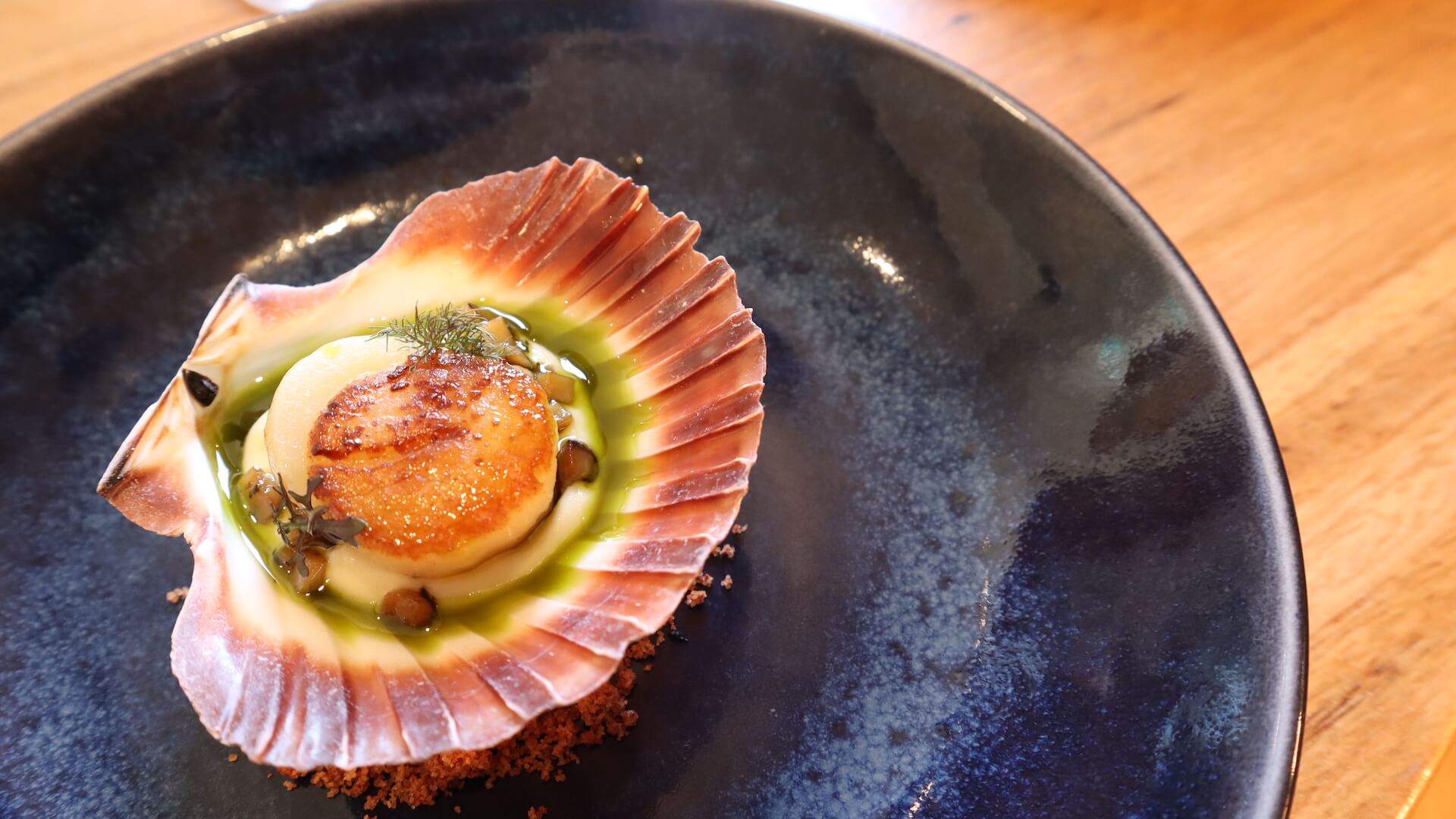 Scallops at Serafina in Hawthorn - Melbourne Pub