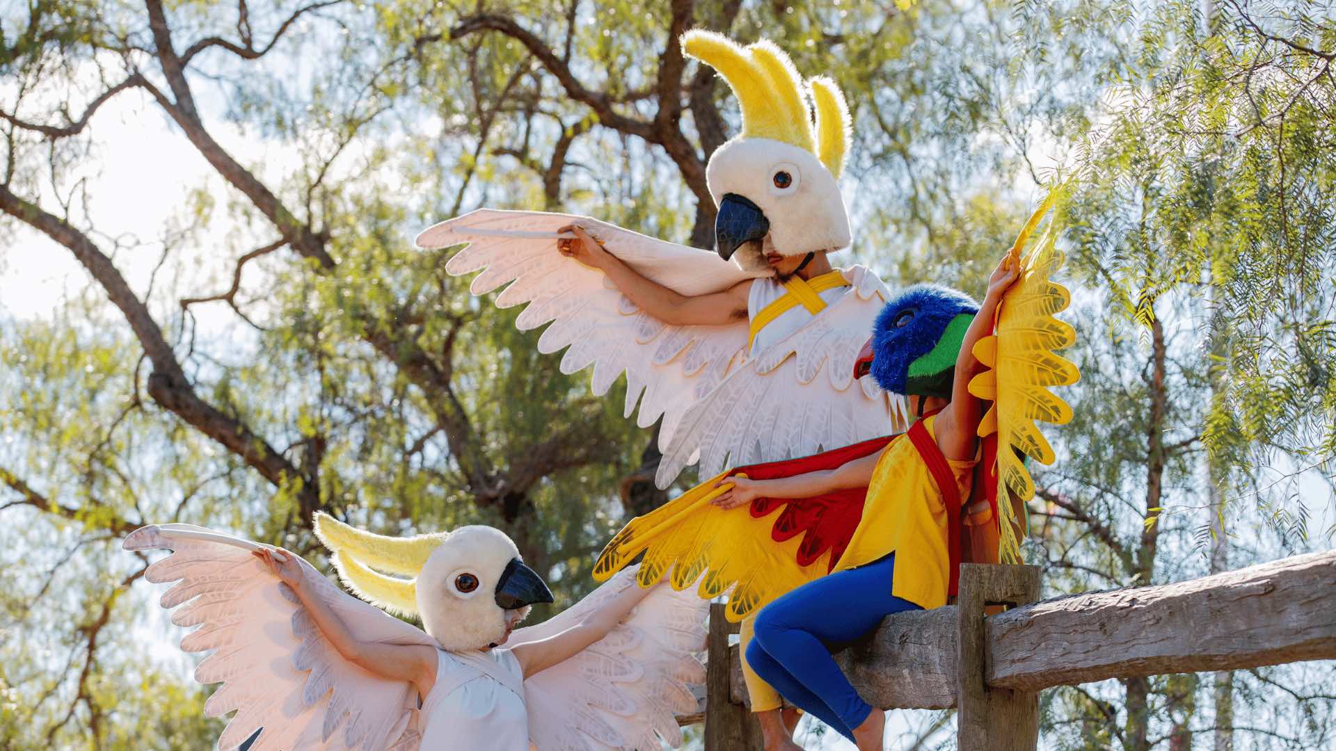 Photos of three people dressed in bird costumes.