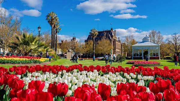 Bendigo Bloom 2023