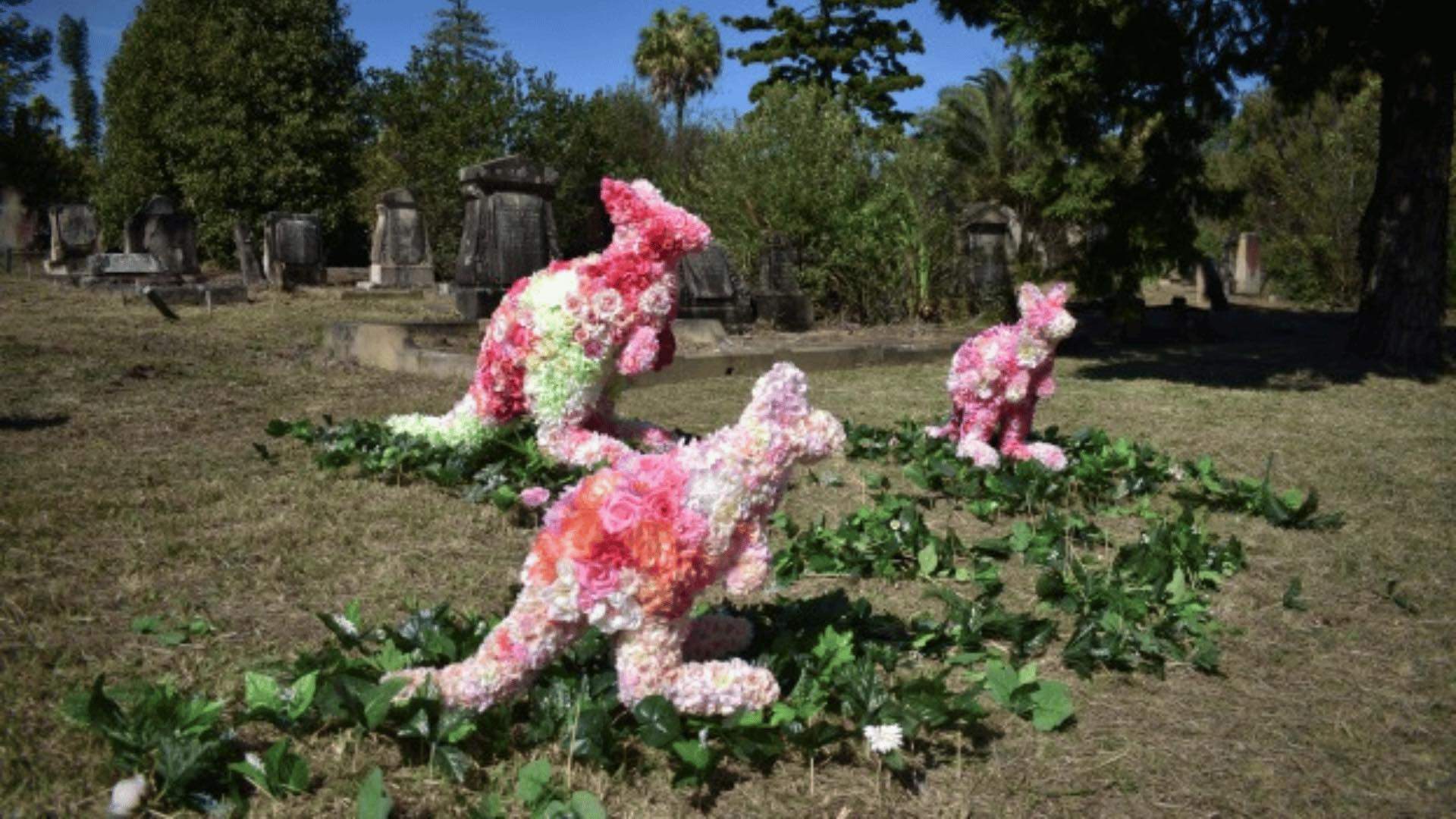 A photo of three kangaroo sculptures titled 'Your one wild and precious life' (2022) by Karen Golland at Rookwood Cemetery.