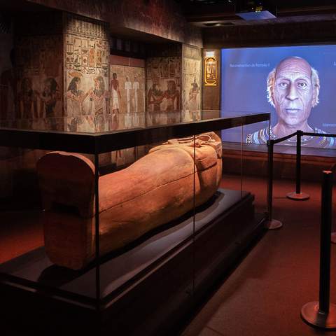 Sydney's Huge 'Ramses & the Gold of the Pharaohs' Exhibition Will Feature the Sarcophagus of Ramses II