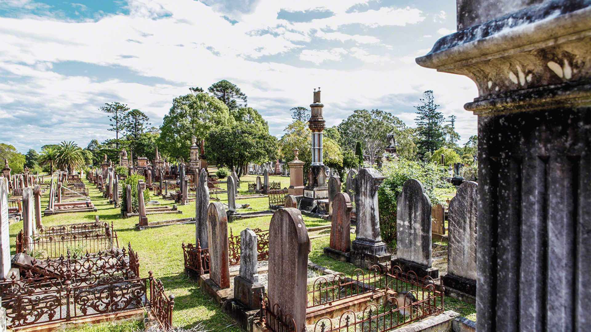 A photo of Rookwood Cemetery.