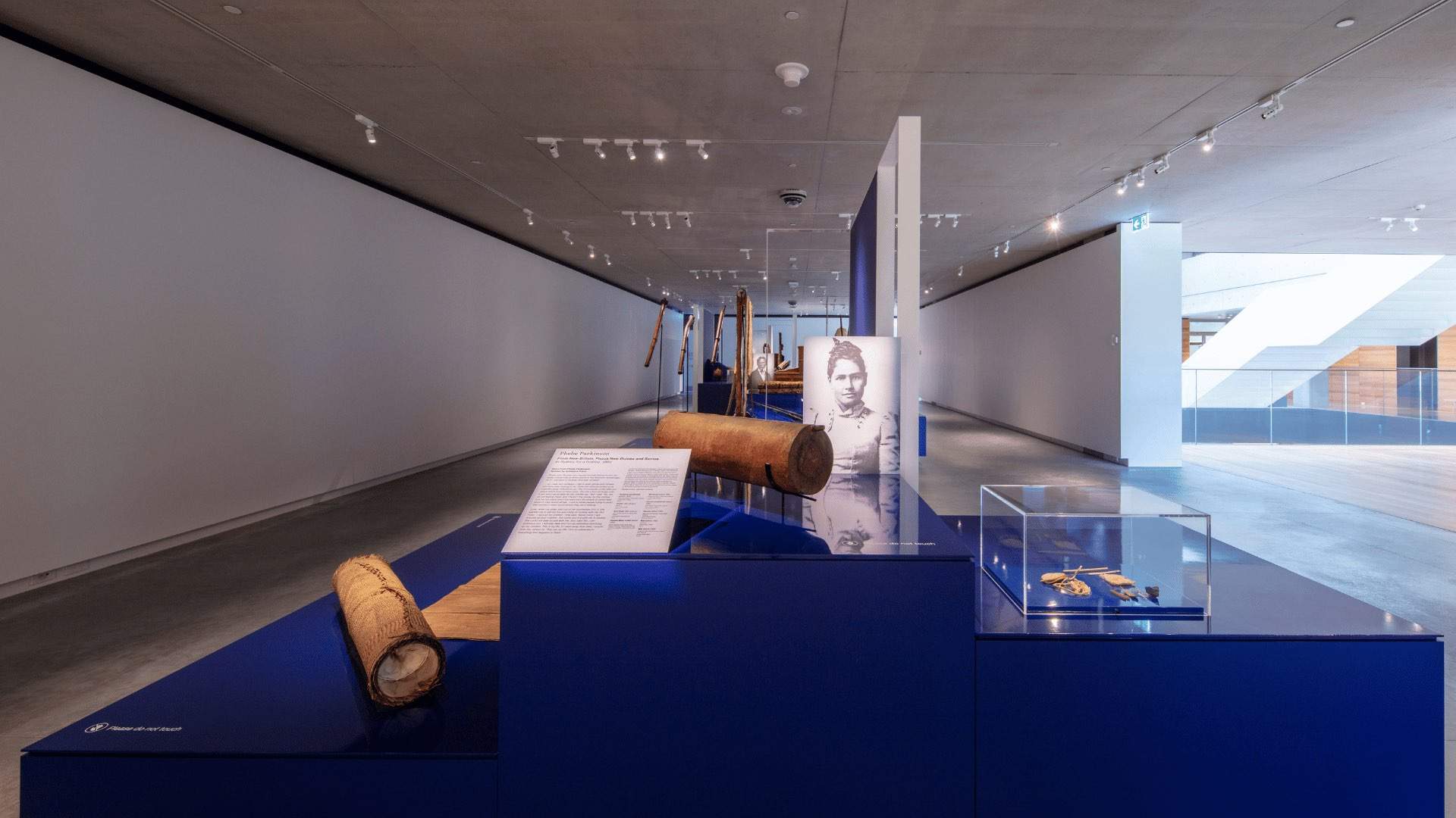 A photo of cultural objects in the 'Tidal Kin: Stories from the Pacific' exhibit at the Chau Chak Wing Museum.