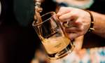 Harbour Eats Presents Brewfest 2023