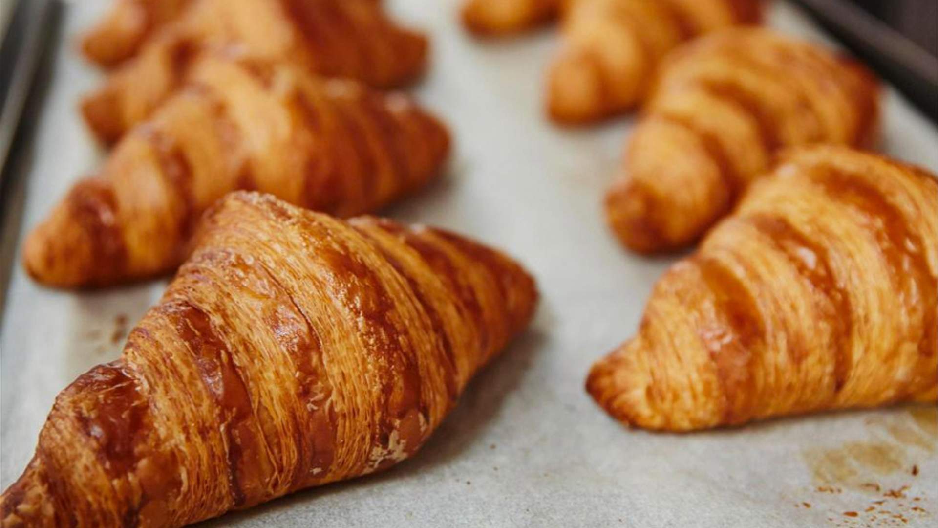 Two rows of freshly baked croissants on oven trays.