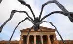 Louise Bourgeois' World-Famous Spider Sculpture 'Maman' Has Arrived in Australia for the First Time