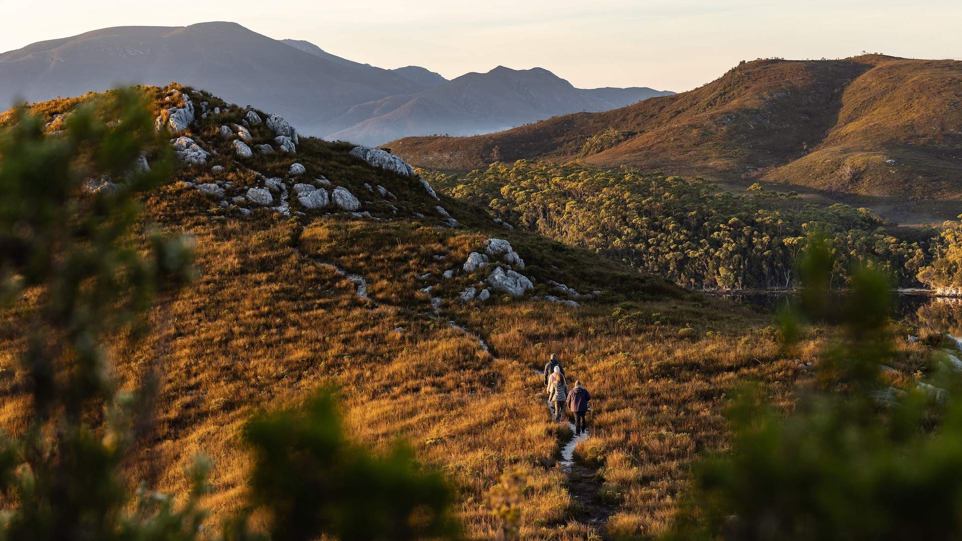 Discover and explore the grandeur and spirit of the Tasmanian wilderness on our Southwest Wilderness day tour.