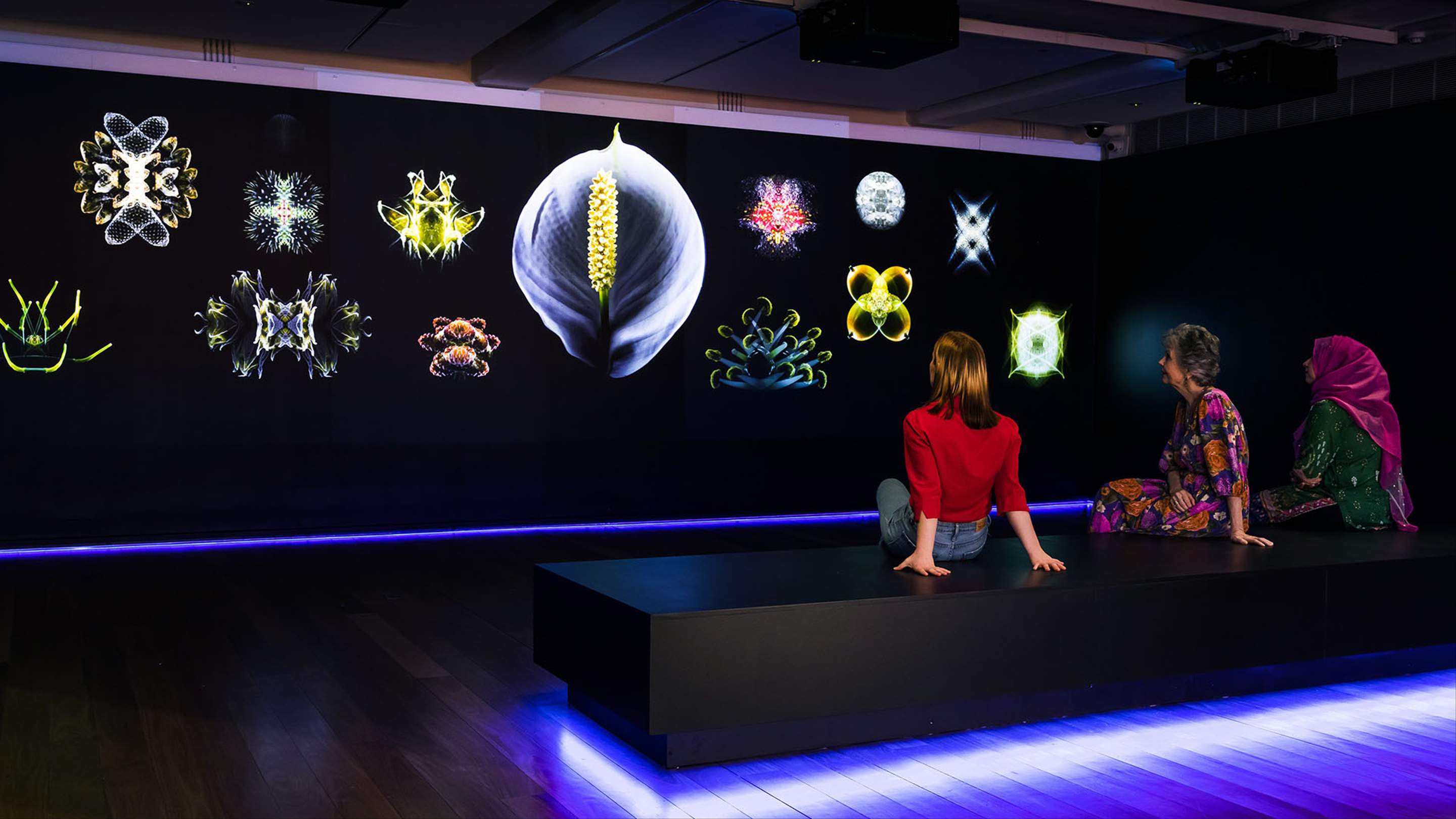 'Rearranged: Art of the Flower' Is the Vibrant New Floral Exhibition