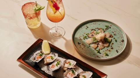 Skinny Dog Hotel, Kew Review