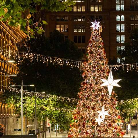 The Best Christmas Events and Markets in Sydney to Visit This Festive Season