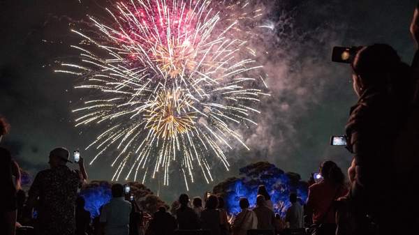 Fireworks in Parramatta Park during New Year's Eve.