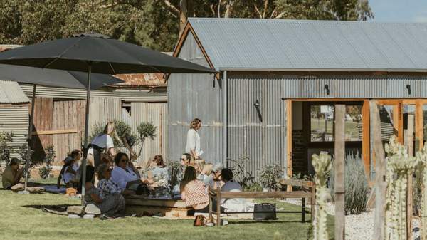 People eating on the grass at El Estanco.