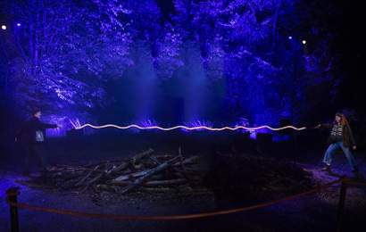 Background image for Now Open: The Magical 'Harry Potter' Forbidden Forest Experience Has Arrived in Australia