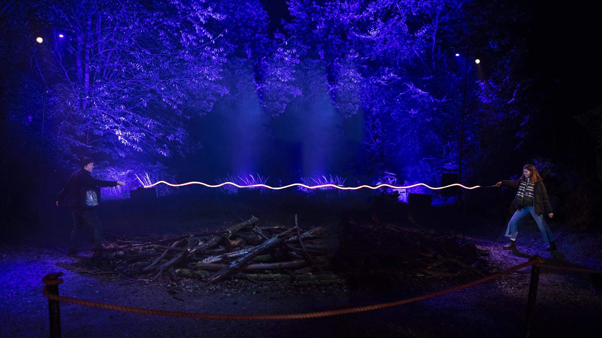Now Open: The Magical 'Harry Potter' Forbidden Forest Experience Has Arrived in Australia