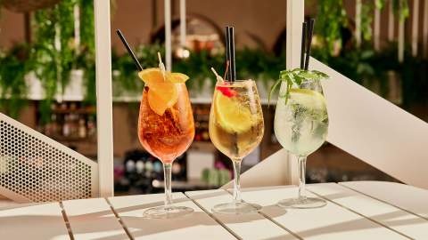 Skinny Dog Hotel, Kew Review