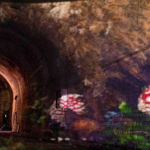 Sleep's Hill Tunnel at Adelaide Fringe Festival 2024