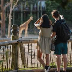 Auckland Zoo Lates 2024