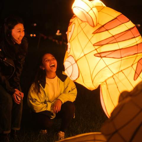 Auckland BNZ Lantern Festival 2024