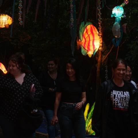 Auckland BNZ Lantern Festival 2024