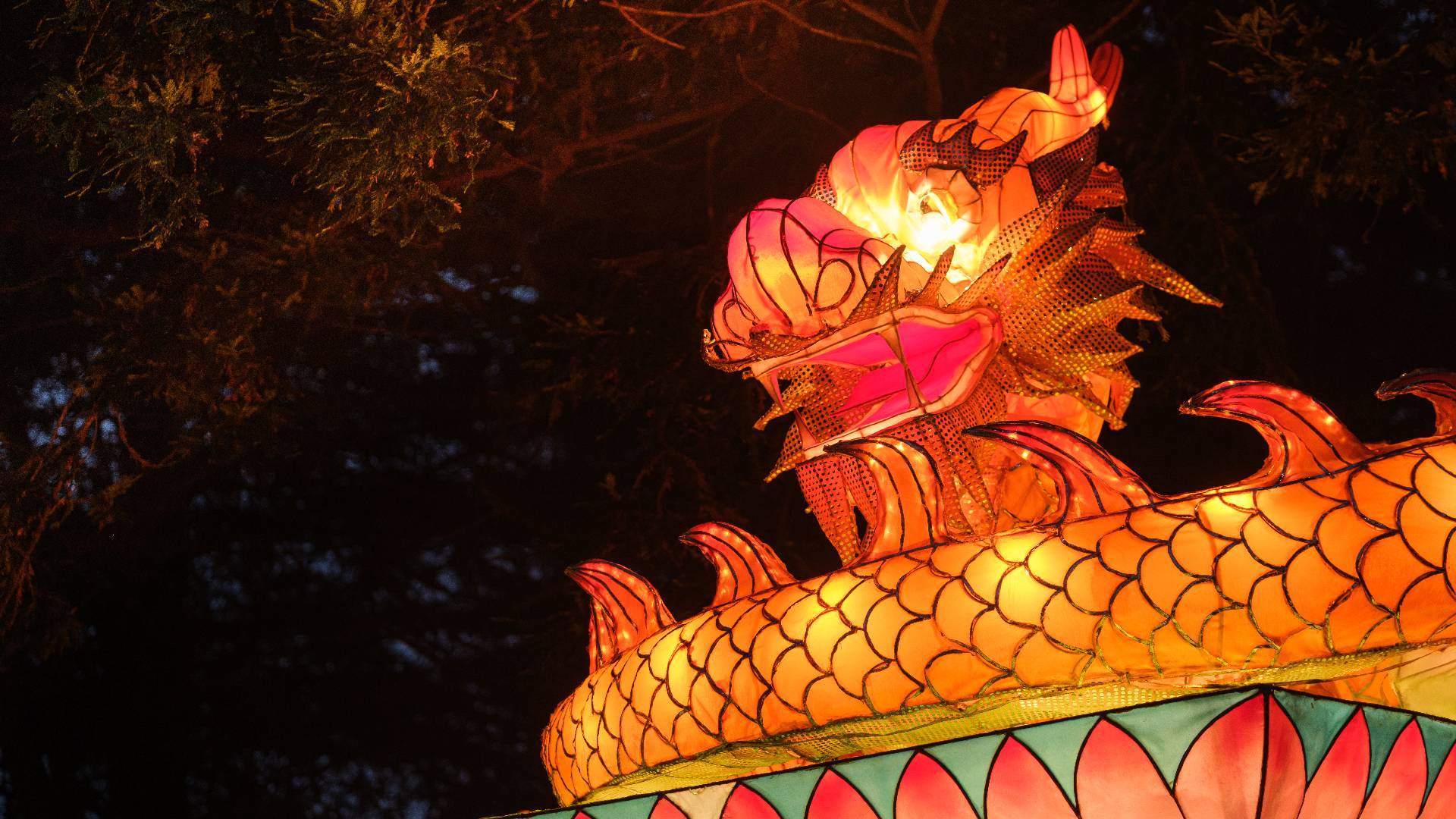 Auckland's BNZ Lantern Festival Is Back After Years of Cancellations in a Brand-New Location
